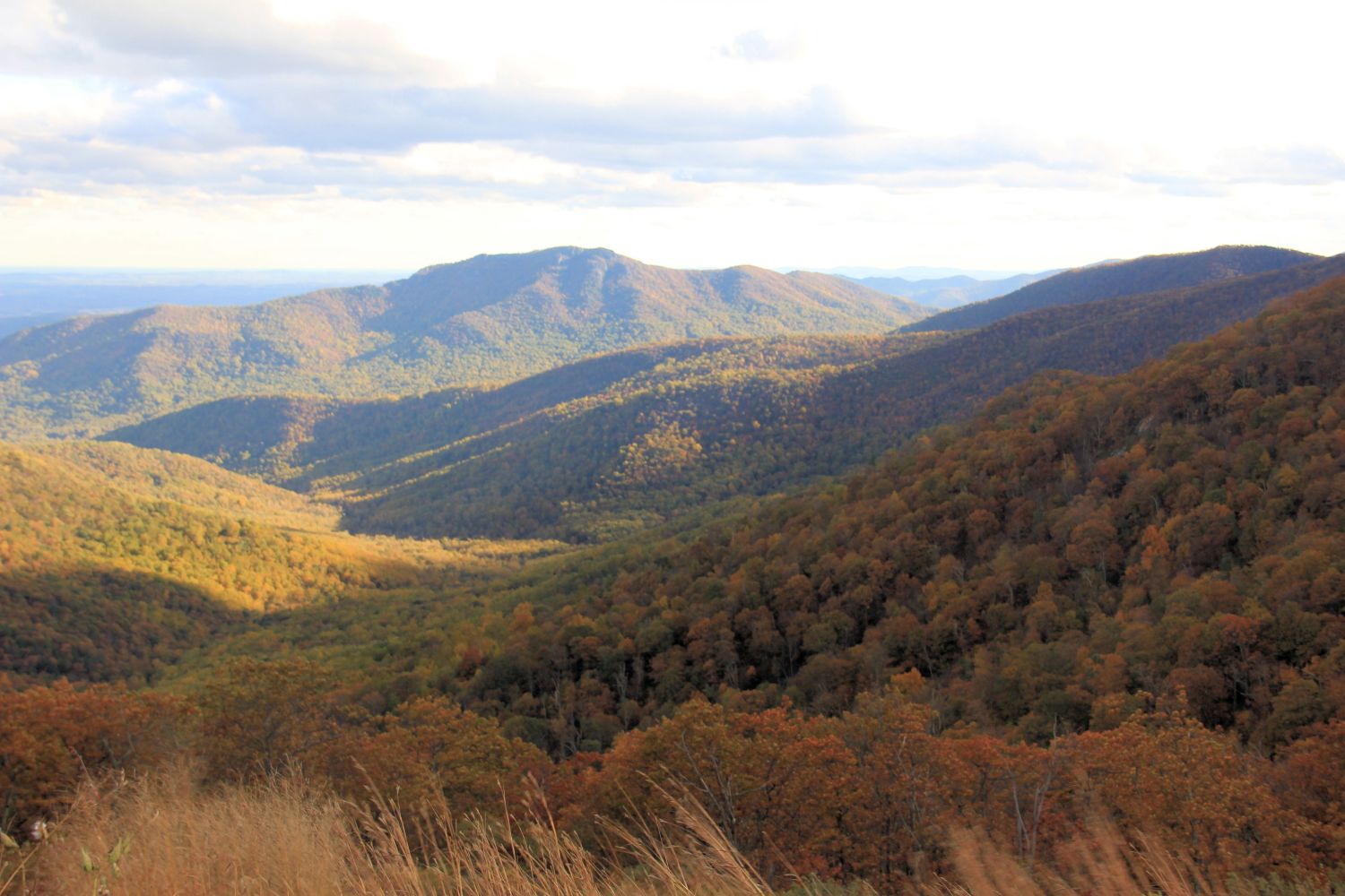 Scenic Drive Over Looks 